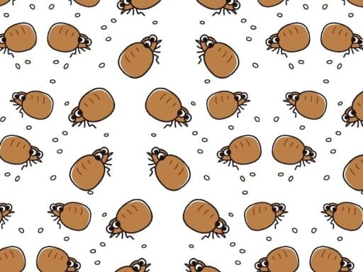 Anthropic monte une équipe pour dessiner ses propres puces