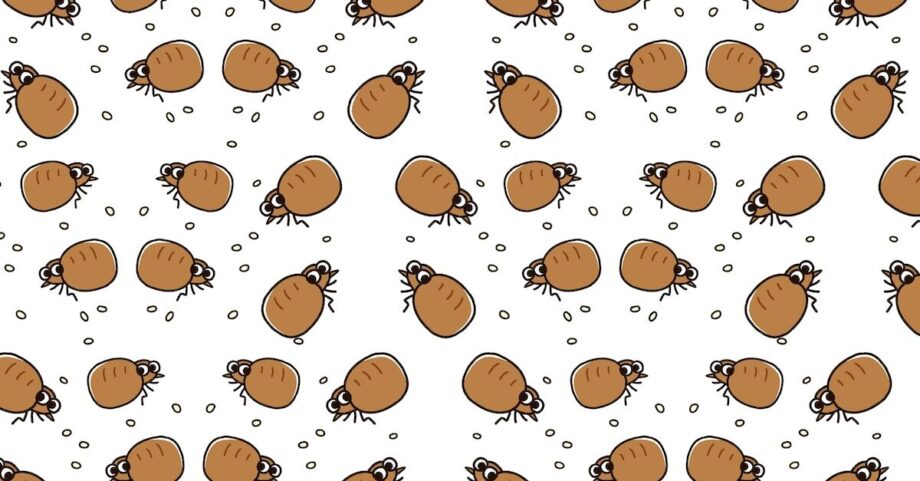 Anthropic monte une équipe pour dessiner ses propres puces