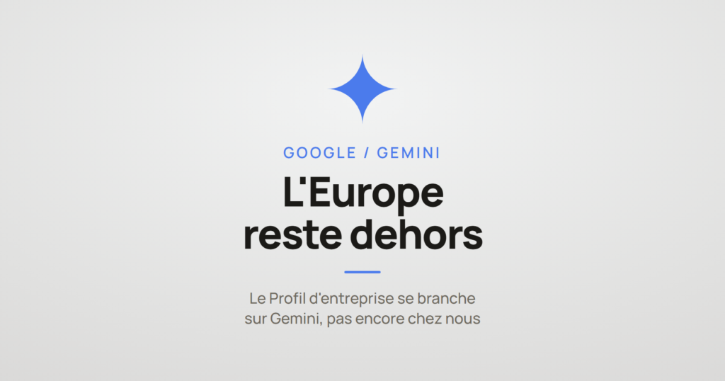 Logo Google Gemini et la mention « l'Europe reste dehors », à propos du Profil d'entreprise branché sur Gemini
