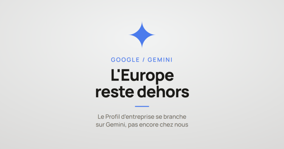 Logo Google Gemini et la mention « l'Europe reste dehors », à propos du Profil d'entreprise branché sur Gemini